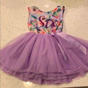 6th Birthday TuTu Dress